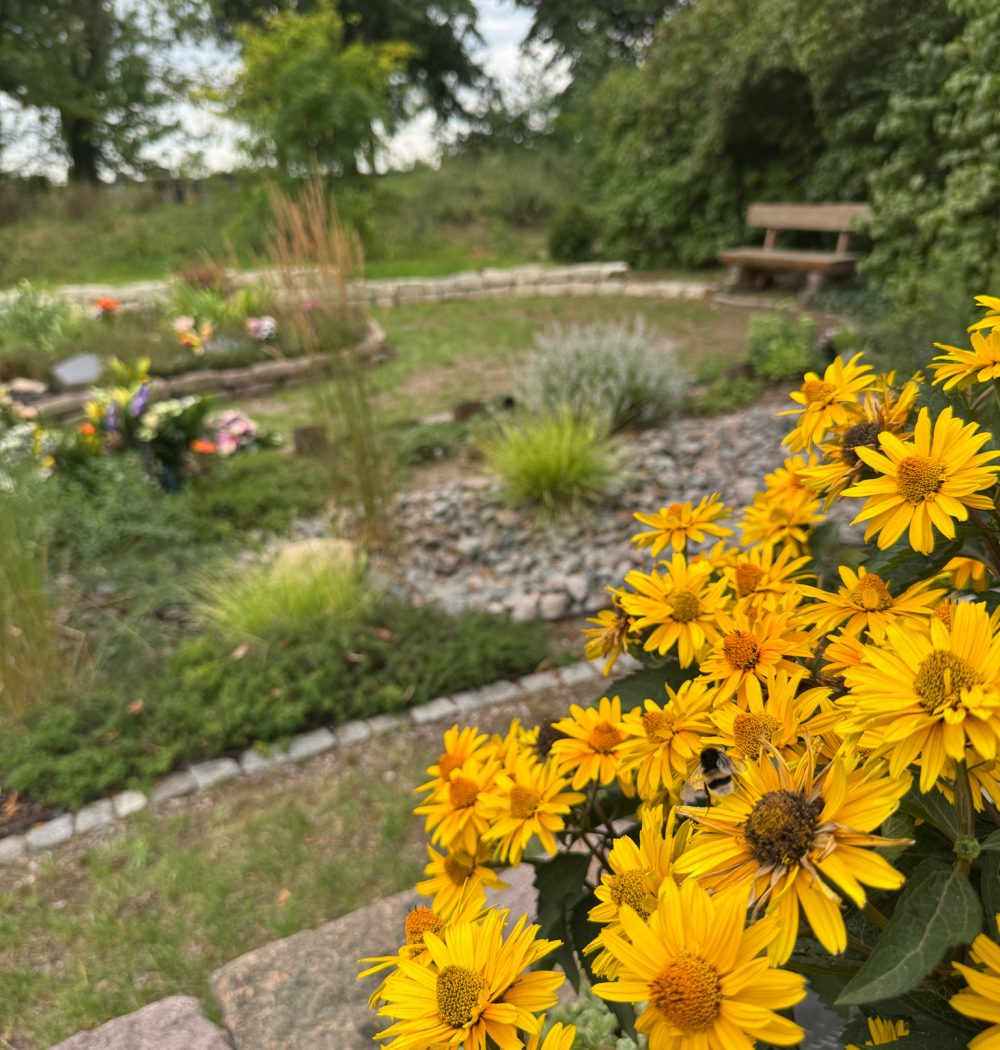 Trauerhilfe-Hentschel-Bestatter-Erdbestattung-Hummel-Friedhof